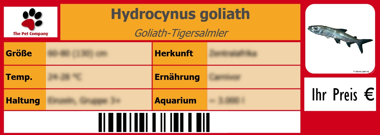 Hydrocynus goliath Goliath-Tigersalmler 105 x 38 mm