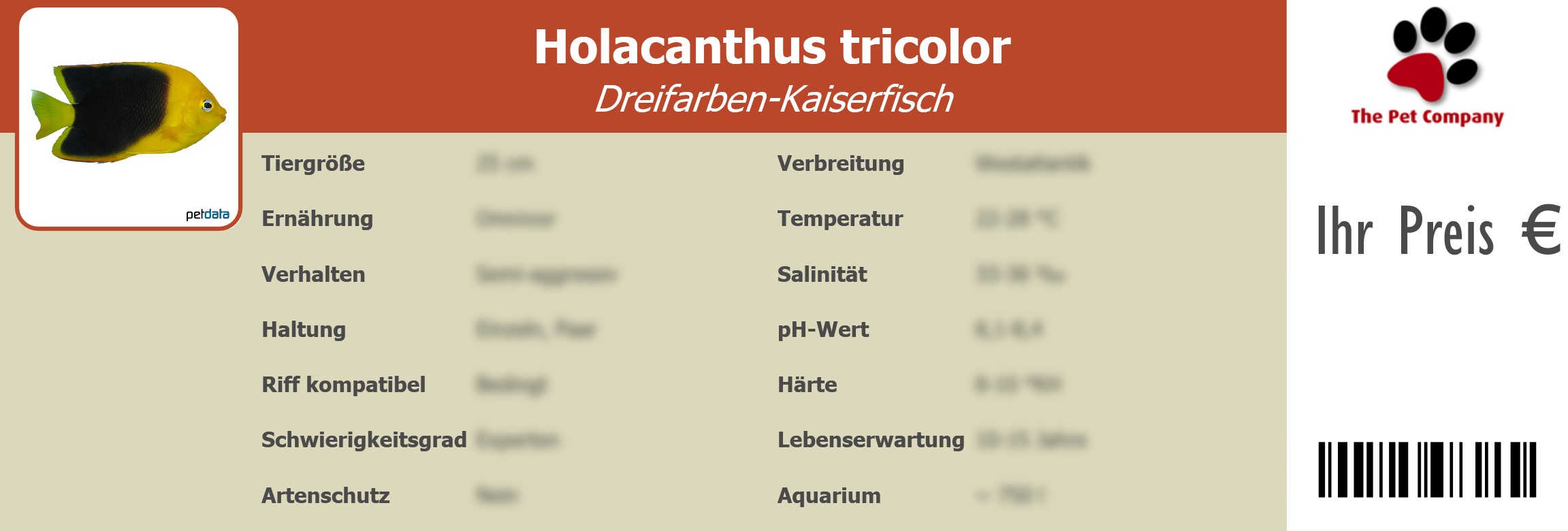 Holacanthus tricolor Dreifarben-Kaiserfisch 195 x 66 mm