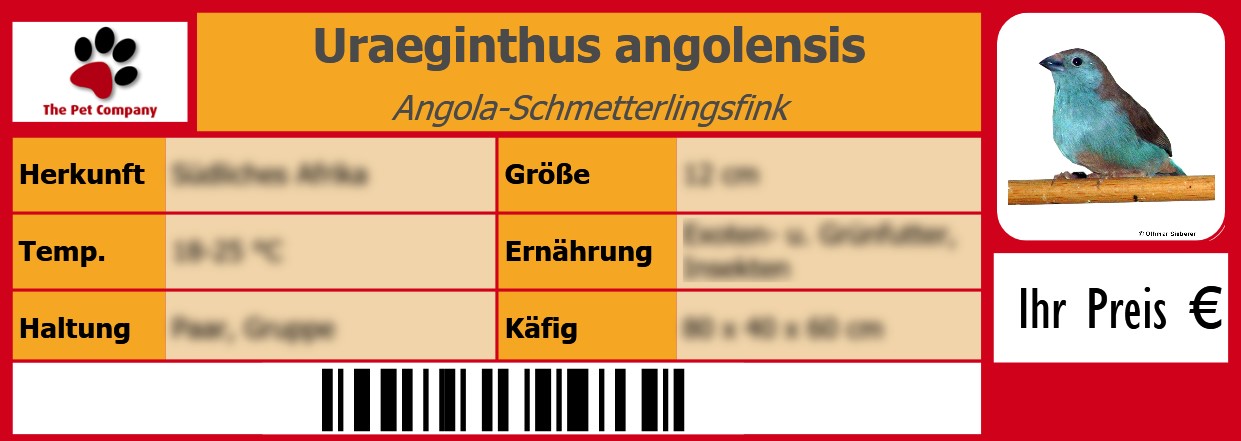 Uraeginthus angolensis Angola-Schmetterlingsfink 105 x 38 mm