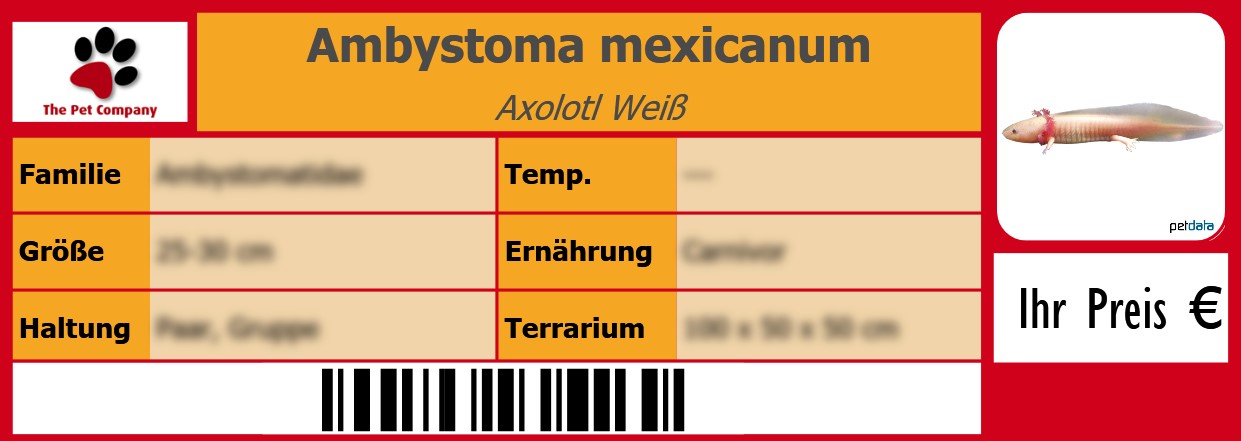 Ambystoma mexicanum Axolotl Weiß 105 x 38 mm