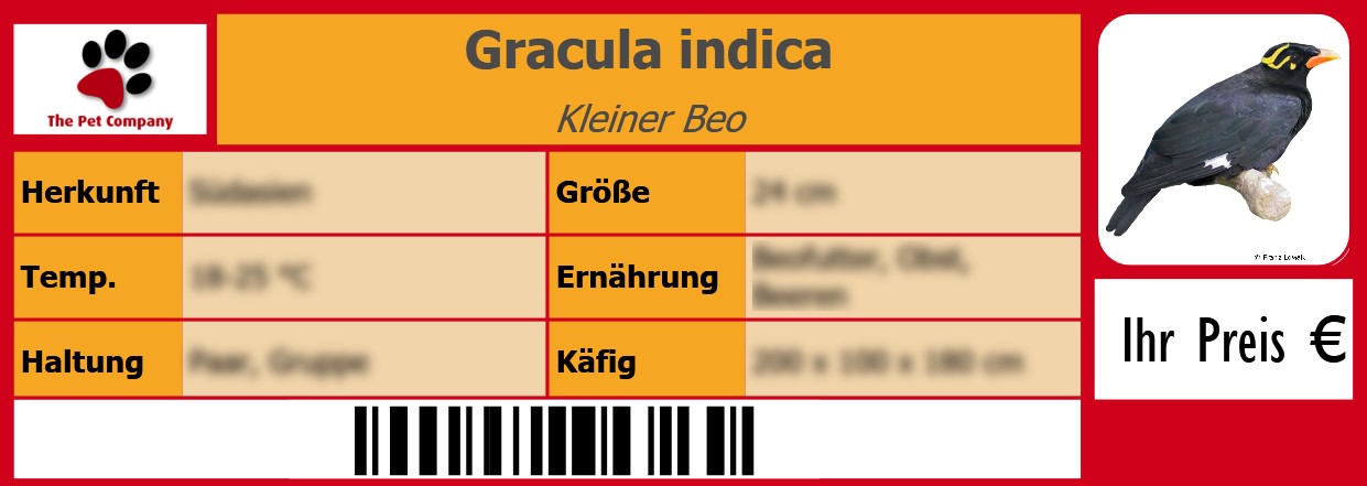 Gracula indica Kleiner Beo 105 x 38 mm