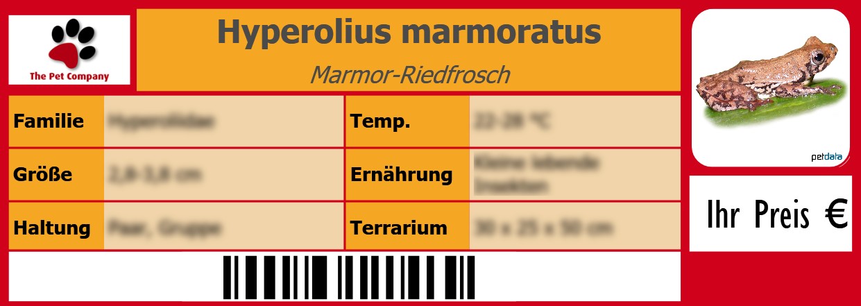 Hyperolius marmoratus Marmor-Riedfrosch 105 x 38 mm