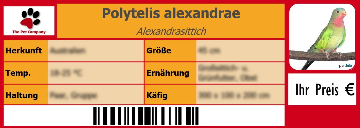Polytelis alexandrae Alexandrasittich 105 x 38 mm