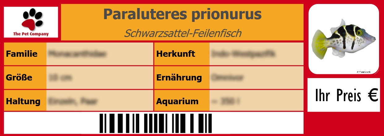 Paraluteres prionurus Schwarzsattel-Feilenfisch 105 x 38 mm