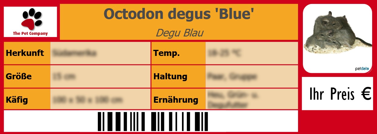 Octodon degus 'Blue' Degu Blau 105 x 38 mm