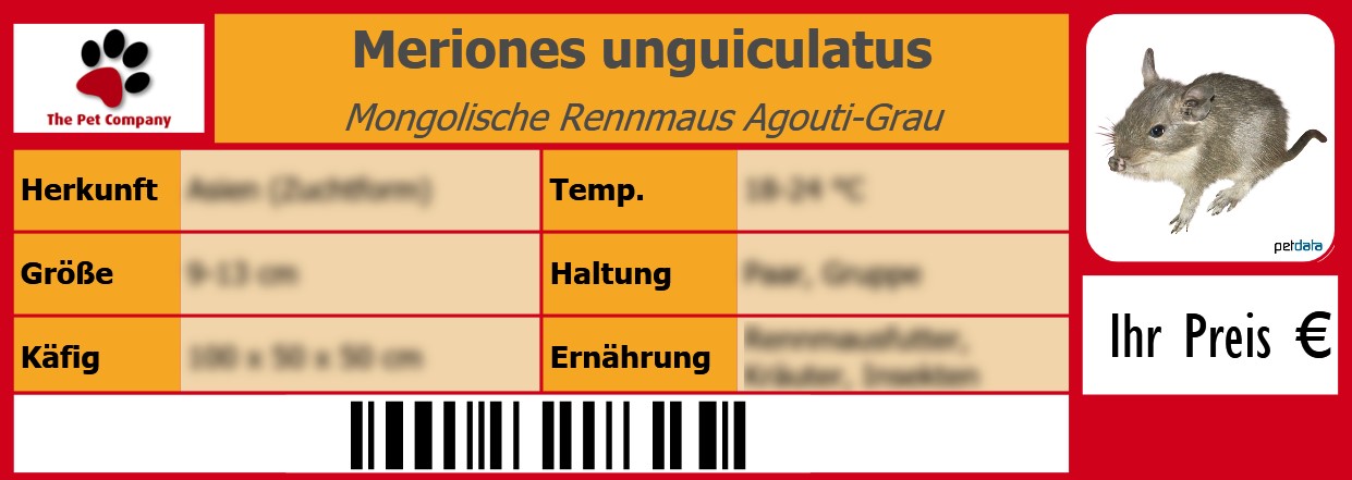 Meriones unguiculatus Mongolische Rennmaus Agouti-Grau 105 x 38 mm