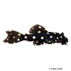 Pseudacanthicus sp. 'L097' Polka Dot Cactus Pleco L97