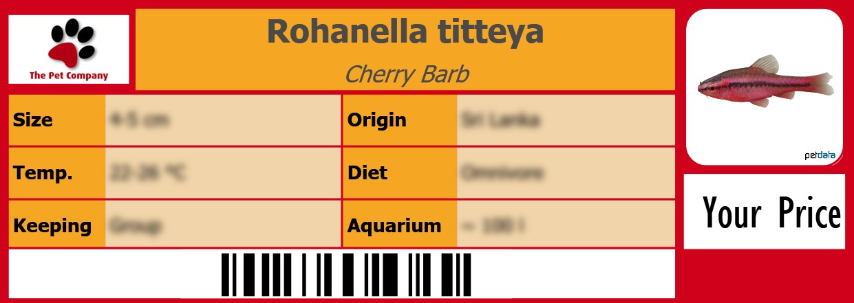 Rohanella titteya Cherry Barb 105 x 38 mm