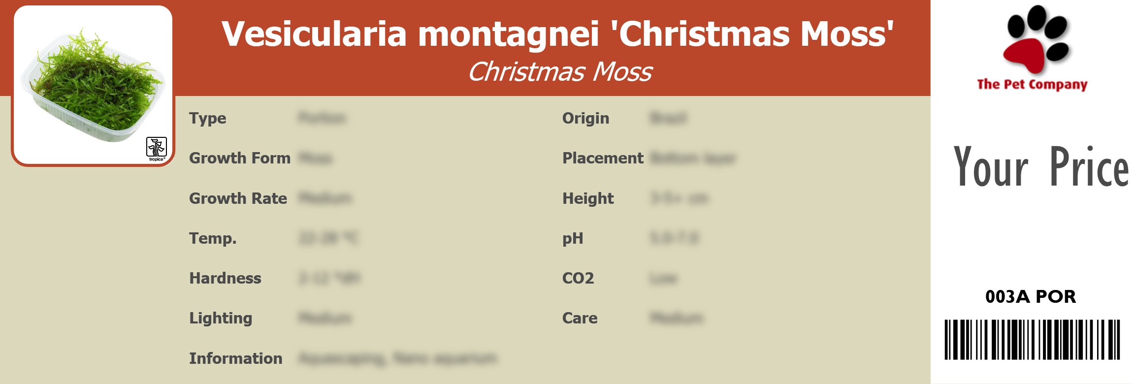 Vesicularia montagnei 'Christmas Moss' Christmas Moss 195 x 66 mm