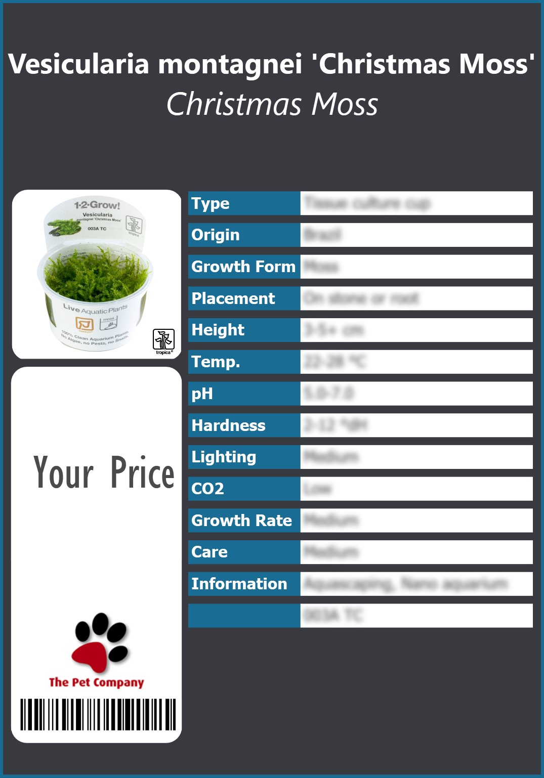 Vesicularia montagnei 'Christmas Moss' Christmas Moss 91 x 130 mm