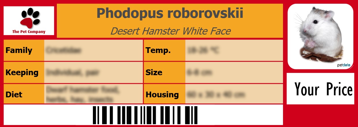 Phodopus roborovskii Desert Hamster White Face 105 x 38 mm