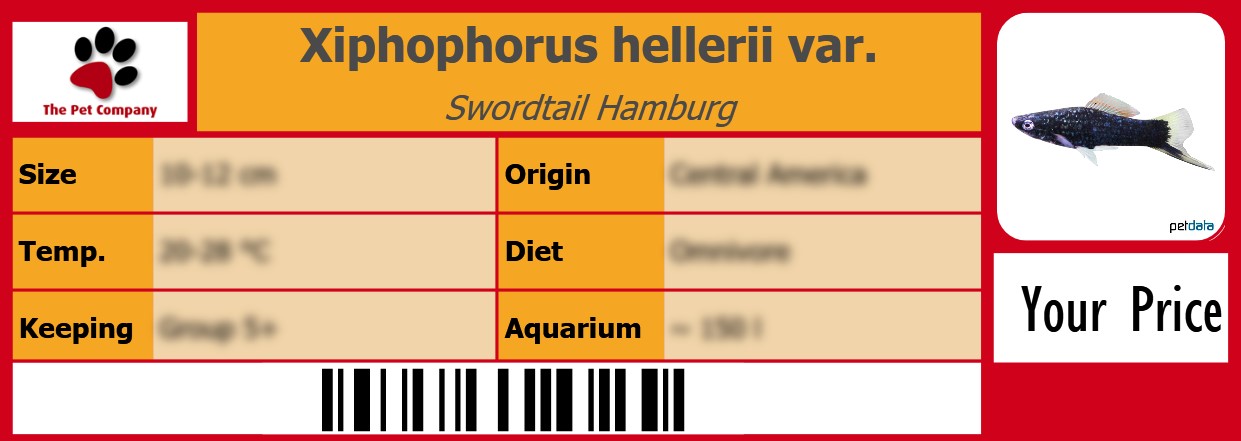 Xiphophorus hellerii var. Swordtail Hamburg 105 x 38 mm